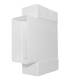 TRÓJNIK PŁASKI  BIAŁY